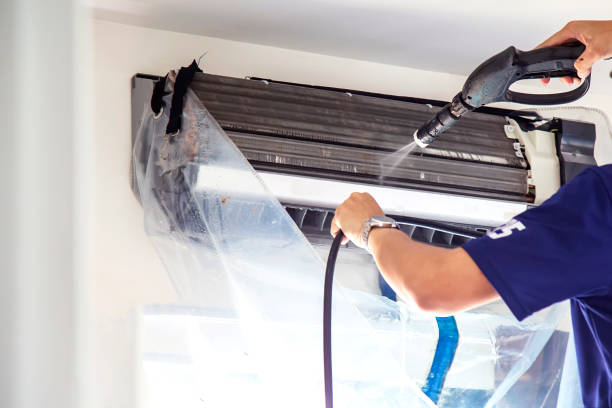 Air Duct Mold Removal